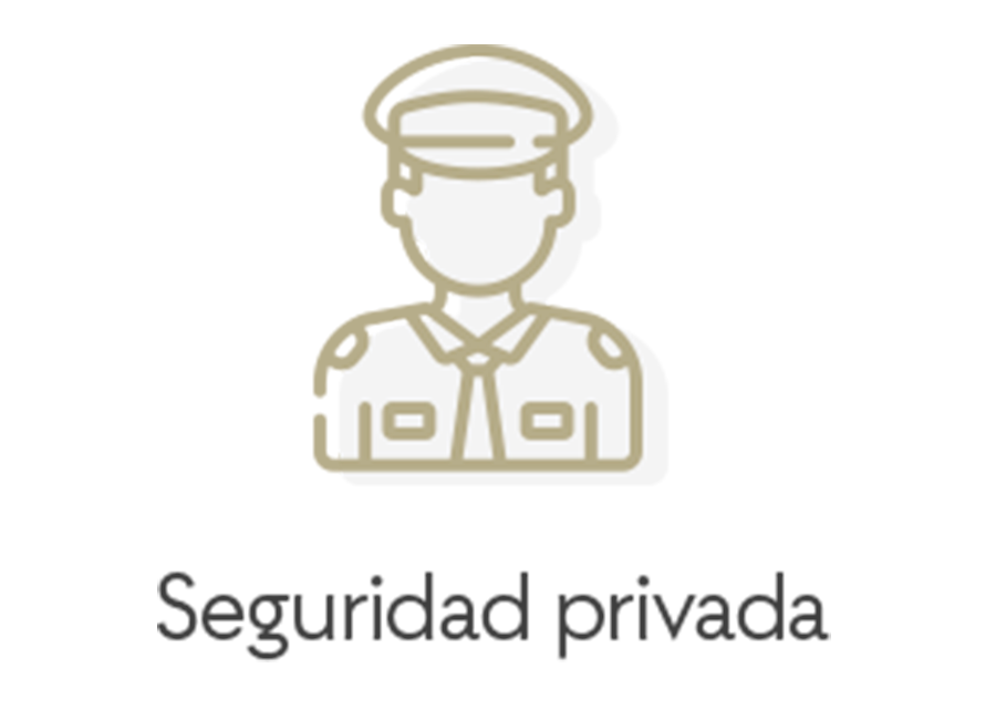 Servicios de Seguridad